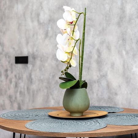 Apartamento Noguera Loft "B" Alicante Eksteriør billede